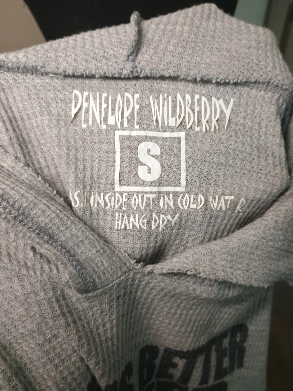 Penelope Wildberry Graphic Hoodie Gray & Pink Small